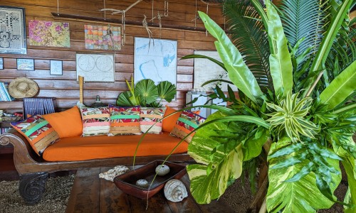 Pension Raimiti